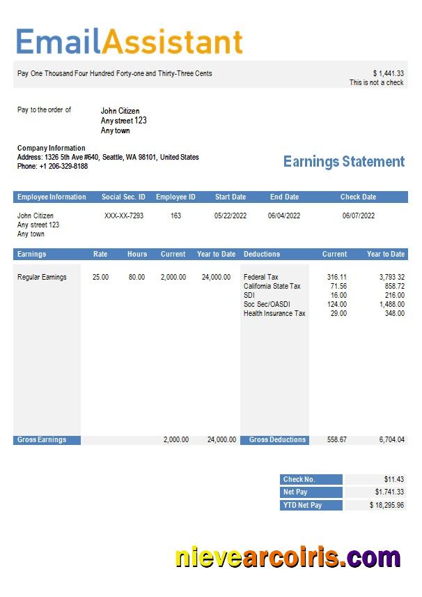 email services company earning statement